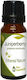 Nature & Body Αιθέριο Έλαιο Κυπαρίσσι 10ml