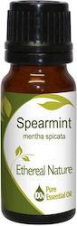 Nature & Body Essential Oil Spearmint 10ml