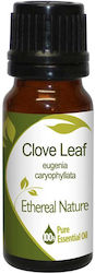 Nature & Body Essential Oil Cloves 10ml