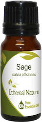 Nature & Body Essential Oil Sage 10ml