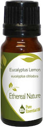 Nature & Body Essential Oil Eucalyptus 10ml