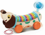 Vtech Baby Toy My Interactive Abc Dog