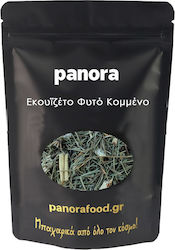 Panora Πολύκομπο-Εκουιζέτο