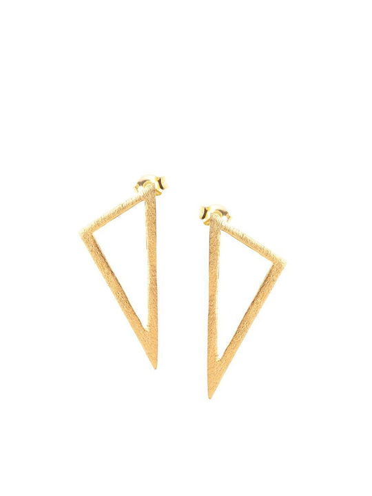 Paraxenies Earrings made of Silver Gold Plated