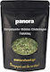 Panora Estragon 50gr