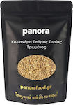 Panora Coriander 100gr