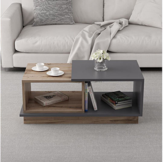 Central Coffee Table Consept Brown/Gray