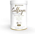 Collagen