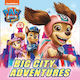 Paw Patrol Picture Book