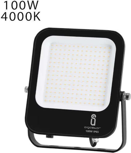 Aigostar Στεγανός Προβολέας LED 100W Φυσικό Λευκό 4000K IP65