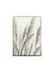 Oriana Ferelli Painting on Canvas 50x70cm