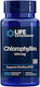 Life Extension Chlorophyllin 100mg Ειδικό Συμπλήρωμα Διατροφής 100 κάψουλες