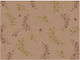 Finezza Подложки за чинии Кафяв 30x40см. 1500бр