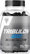 Trec Tribulon 90 Капсули