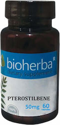 Bioherba 50мг 60 Капсули