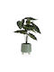 Versa Decorative Artificial Plant 34cm 1pcs