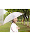 Automatic Umbrella Compact Transparent