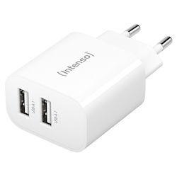 Intenso W24AA Αντάπτορας 24W