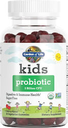 Garden Of Life Kids Probiotic 30 желирани бонбони Череша Garden Of Life Kids Probiotic 30 желирани бонбони Череша