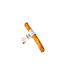 Celebrate Freshness Bone Training for Dogs with Flavor Beef 25cm