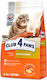 Club 4 Paws Premium Dry Food for Adult Cats wit...
