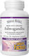 Natural Factors Ashwagandha KSM-66 600mg 30 Capsules