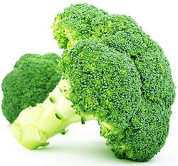 Gemma Seeds Broccoli 1gr