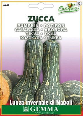 Gemma Μακριά Seeds Pumpkinς Zucchini 1gr