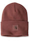 Carhartt Beanie Unisex Beanie Knitted in Brown color