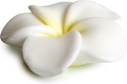 Pokhara Soap Bar Gardenia 105gr Pokhara Soap Bar Gardenia 105gr