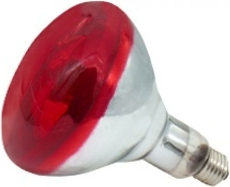 Philips Glühlampe 150W für Fassung E27