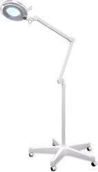 Quirumed Medizinische Lampe 1199-6017H8-5A