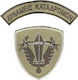 All About Army Clothing Badge 002326