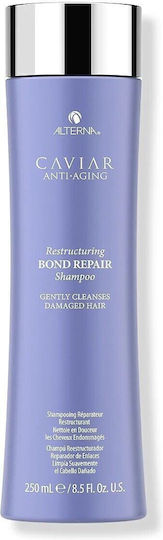 Alterna Shampoos Glättung & Glanz für Gefärbt Haare 250ml