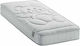 Linea Strom Anatomical Mattress Crib with Coconut Fiber 74cmx140cmx16cm