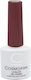 Cosmofan Ημιμόνιμο Βερνίκι Νυχιών 131 7.5ml