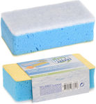 Kitchen Sponge