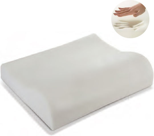 Bed & Home No.3 Aloe Vera Memory Foam 41x60x11cm