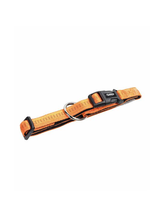 Nobby Dog Collar in Orange color Medium / Small 20mm