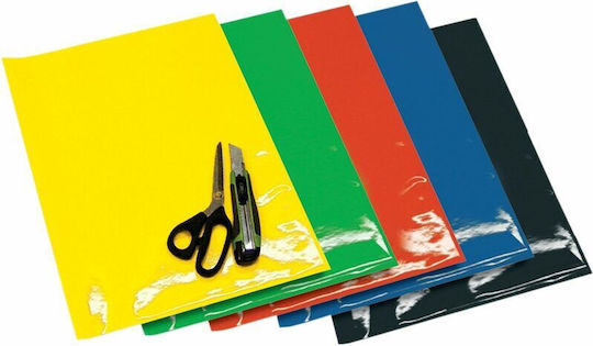 Blackbird Racing Stickers Set Orange