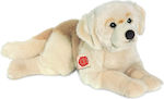 Hermann Teddy Plush Dog