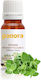 Panora Ätherisches Öl Oregano 500ml