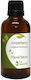 Nature & Body Ätherisches Öl Zypresse 50ml