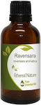 Nature & Body Ravensara Essential Oil Essential Oil 50ml