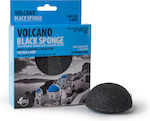 Olive Spa Make Up Sponge for