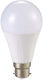 Λάμπα LED 10W για Ντουί B22 Ψυχρό Λευκό
