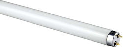 Fluorescent Lamp for Socket G13 58W