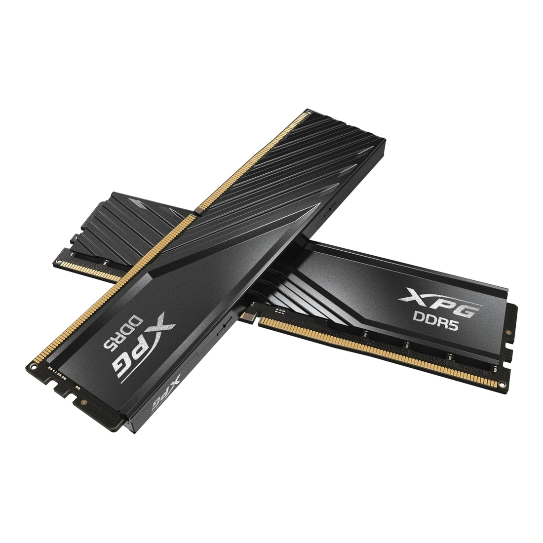 20240829131102_adata_lancer_32
