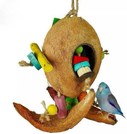 Java Wood Wooden Bird Cage Game 35x20cm