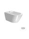 GSI Wall-Mounted Toilet with Cover Soft Close and Bidet White